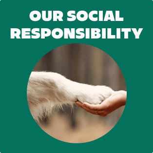 OUR SOCIAL RESPONSIBILITY card
